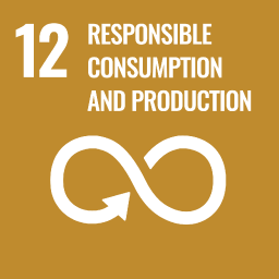 GOAL 11: SUSTAINABLE CITIES AND COMMUNITIES