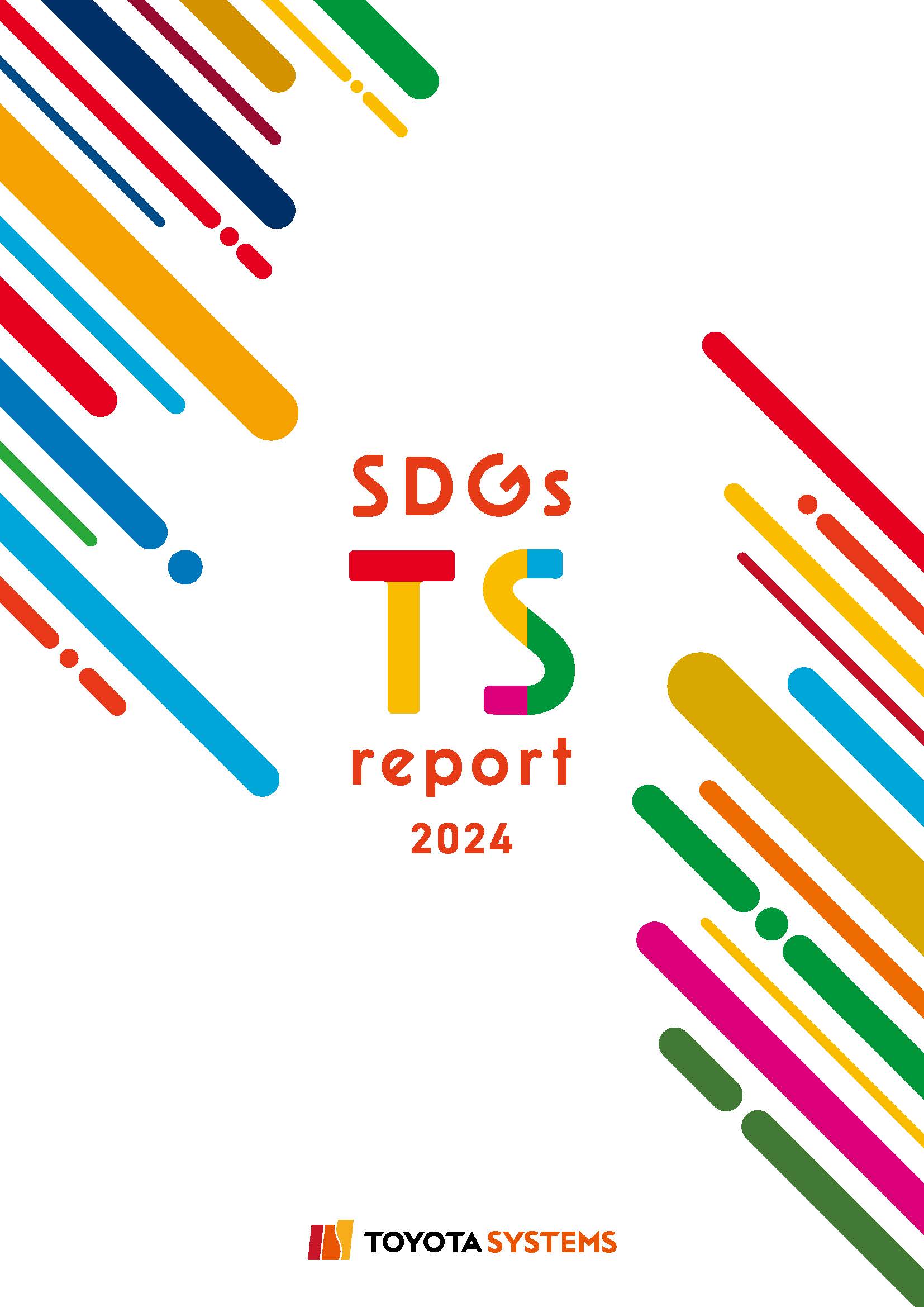TS report
