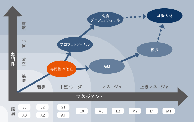 トヨタシステムズ（TS）｜採用サイト｜環境.制度を知る｜キャリア形成